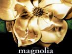 Daiktas Filmas Magnolia 2000