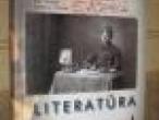 Daiktas V.Daujotytė Literatūra 11-12kl I-oji knyga