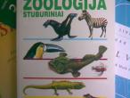 Daiktas Žinynas. Zoologija (stuburiniai)