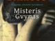 Alessandro Baricco"Misteris Gvynas"reali kaina tokia 8,32 € parduodu su 50% nuolaida (4.16€)+siuntimo islaidos Vilnius - parduoda, keičia (1)