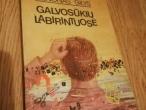 Daiktas Galvosūkių labirintuose (kryžiažodžiai,ratažodžiai,rebusai) 3€