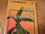 Daiktas Viskas apie auksinį ūsą  (rezervuota)  2€