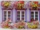 puzzle new england cottage 750 Klaipėda - parduoda, keičia (1)