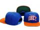 Daiktas OBEY full cap'a naujas tik 50lt !!!