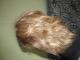 Trumpų šviesių plaukų perukas Ukmergė - parduoda, keičia (2)