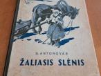 Daiktas Žaliasis slėnis 6€