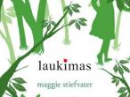 Daiktas Laukimas. Maggie Stiefvater