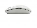 Daiktas Bluetooth Belkin Comfort mouse