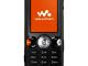 Daiktas Sony Ericsson W810i